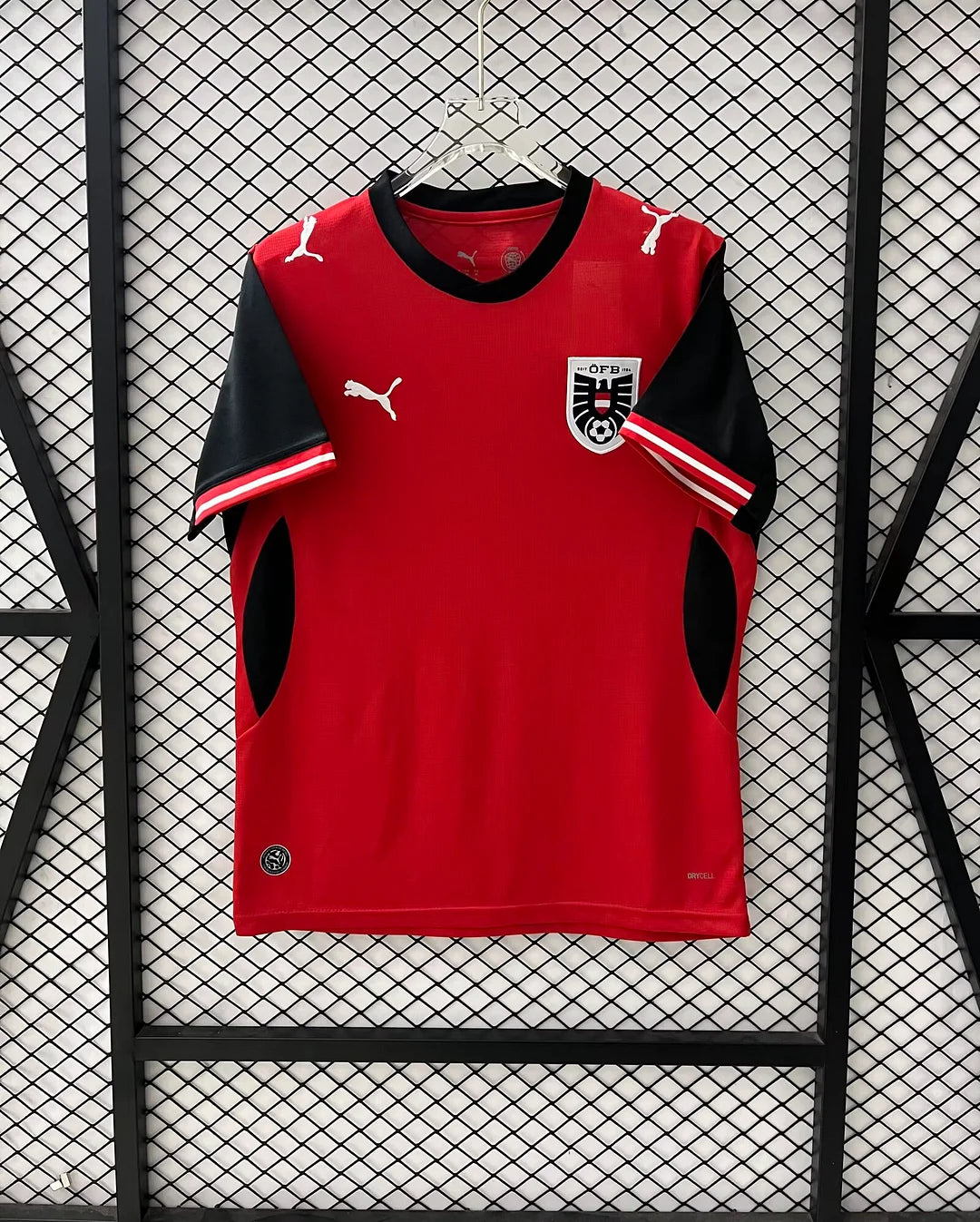 Österreich 2026 WM-Heim