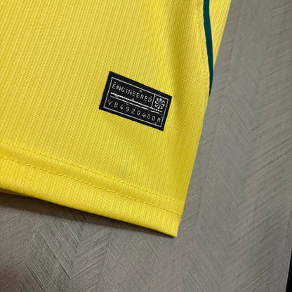 Brasilien WM-2026 Heim