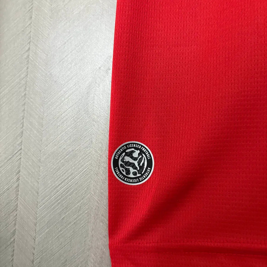 Österreich 2026 WM-Heim
