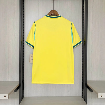 Brasilien WM-2026 Heim